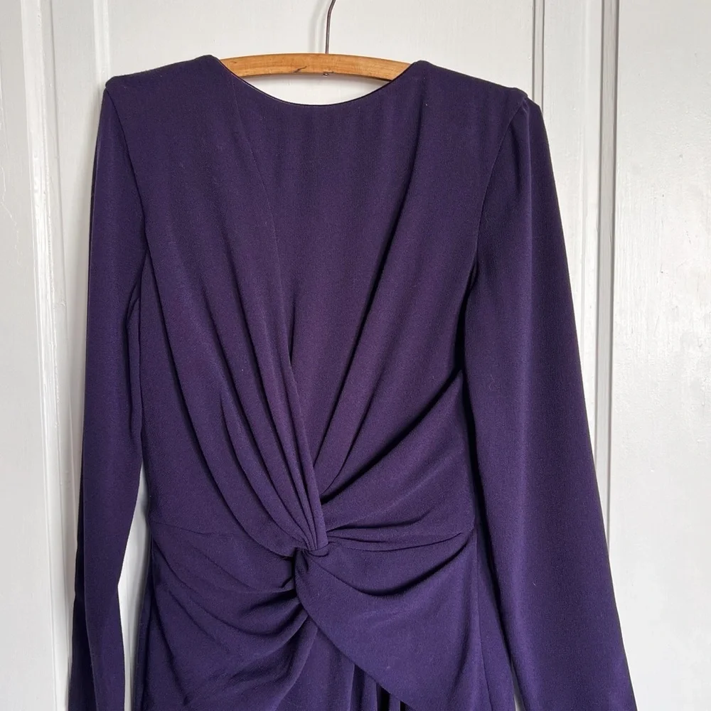 Dress the Population Purple Maxi Dress - Picture 3 of 9